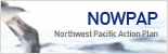 Nowpap